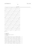 RECOMBINANT BACTERIA HAVING IMPROVED SUCROSE UTILIZATION diagram and image