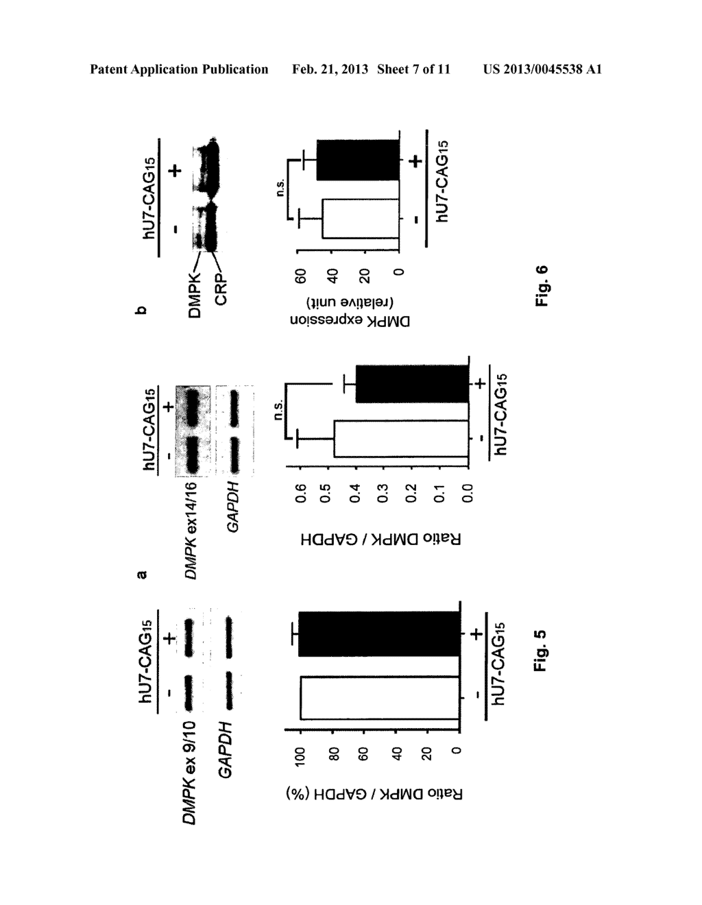 MODIFIED U7 SNRNAS FOR TREATMENT OF NEUROMUSCULAR DISEASES - diagram, schematic, and image 08