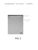 Process Of Internal Gettering For Czochralski Silicon Wafer diagram and image