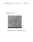 Process for the Preparation of a Solid Metallocene Catalyst System and its     use in Polymerisation of Olefins diagram and image