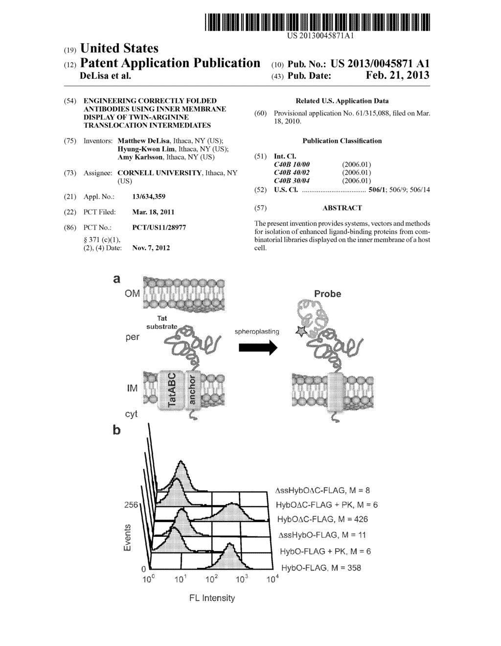 ENGINEERING CORRECTLY FOLDED ANTIBODIES USING INNER MEMBRANE DISPLAY OF     TWIN-ARGININE TRANSLOCATION INTERMEDIATES - diagram, schematic, and image 01