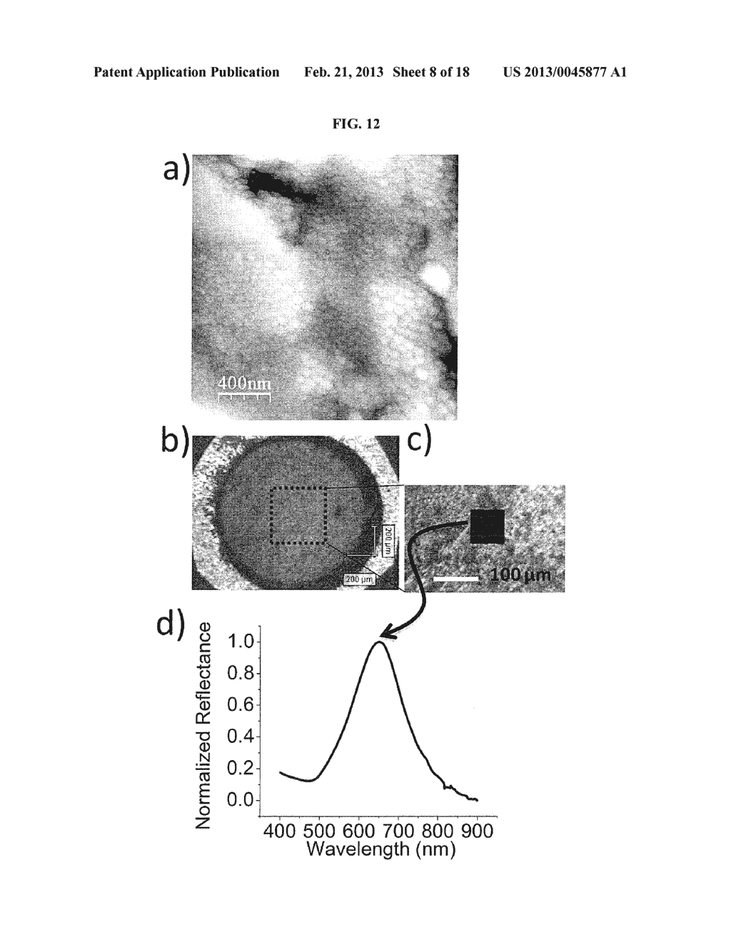 METHODS TO FORM SUBSTRATES FOR OPTICAL SENSING BY SURFACE ENHANCED RAMAN     SPECTROSCOPY (SERS) AND SUBSTRATES FORMED BY THE METHODS - diagram, schematic, and image 09