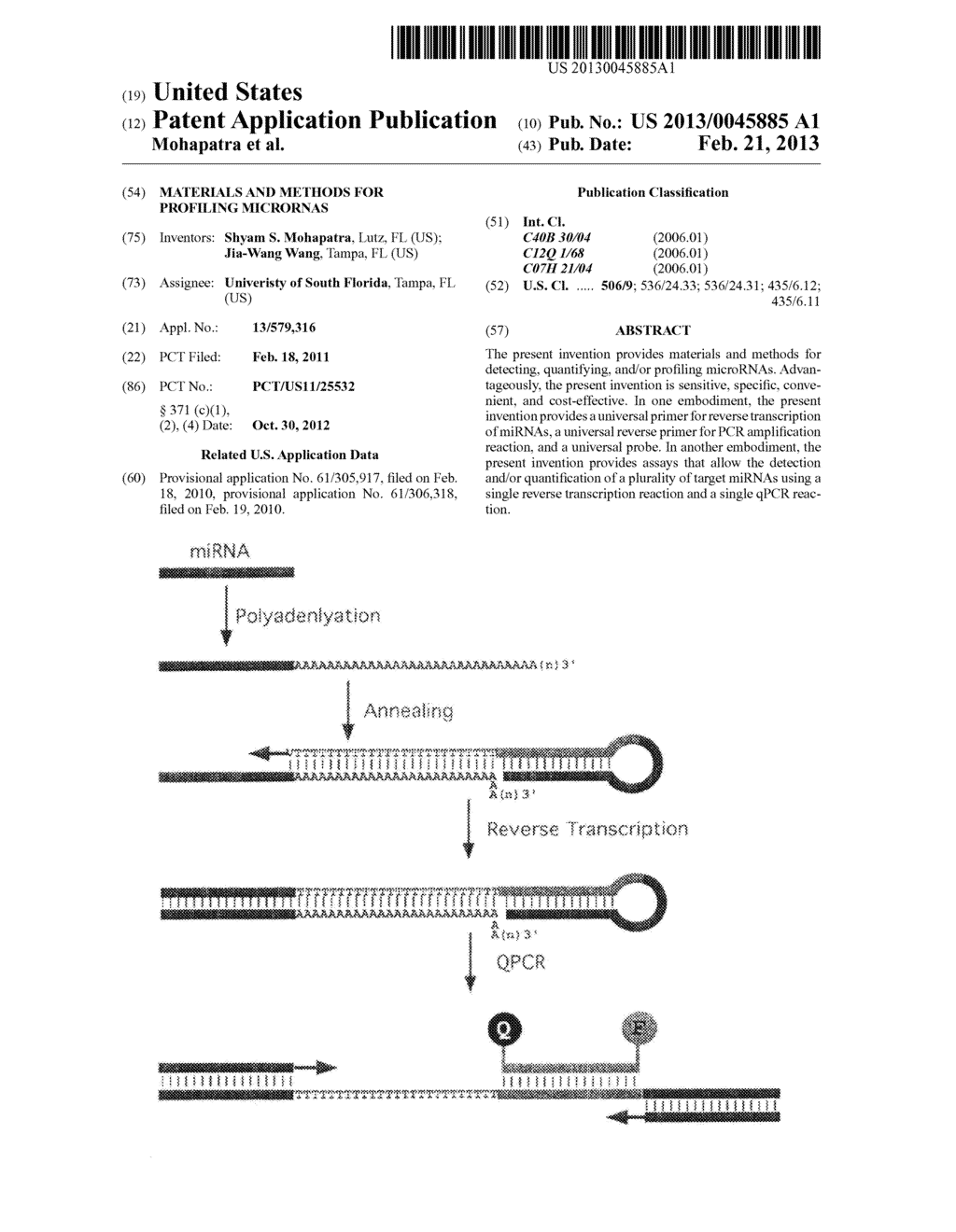 MATERIALS AND METHODS FOR PROFILING MICRORNAS - diagram, schematic, and image 01