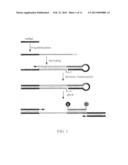 MATERIALS AND METHODS FOR PROFILING MICRORNAS diagram and image