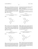 KINASE MODULATORS FOR THE TREATMENT OF CANCER diagram and image