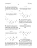 PEPTIDE DEFORMYLASE INHIBITORS diagram and image