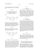 PEPTIDE DEFORMYLASE INHIBITORS diagram and image