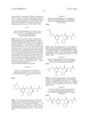 PEPTIDE DEFORMYLASE INHIBITORS diagram and image