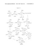 INHIBITORS OF CYCLIN-DEPENDENT KINASES AND THEIR USE diagram and image