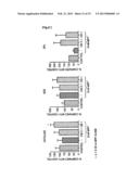 PHARMACEUTICAL COMPOSITION FOR INHIBITING APOPTOSIS OF NEURON OR     NEURODEGENERATION diagram and image