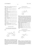 OXYGEN-SUBSTITUTED 3-HETEROAROYLAMINO-PROPIONIC ACID DERIVATIVES AND THEIR     USE AS PHARMACEUTICALS diagram and image