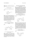 OXYGEN-SUBSTITUTED 3-HETEROAROYLAMINO-PROPIONIC ACID DERIVATIVES AND THEIR     USE AS PHARMACEUTICALS diagram and image