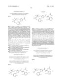 OXYGEN-SUBSTITUTED 3-HETEROAROYLAMINO-PROPIONIC ACID DERIVATIVES AND THEIR     USE AS PHARMACEUTICALS diagram and image