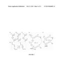 OLIGONUCLEOTIDE LIGATION diagram and image