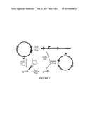 OLIGONUCLEOTIDE LIGATION diagram and image