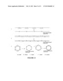 OLIGONUCLEOTIDE LIGATION diagram and image