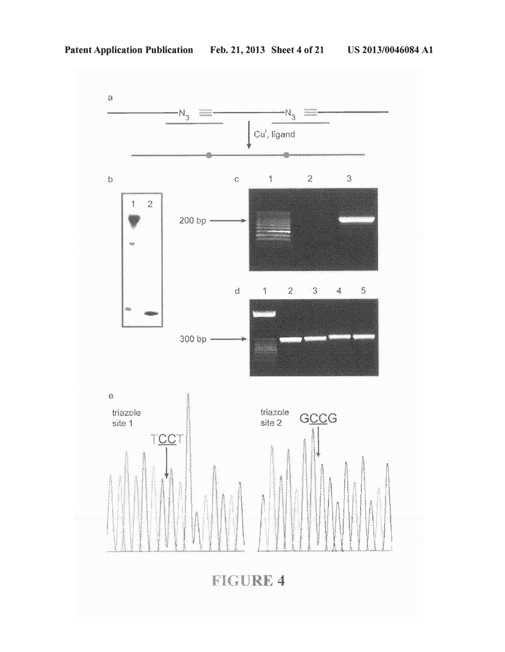 OLIGONUCLEOTIDE LIGATION - diagram, schematic, and image 05