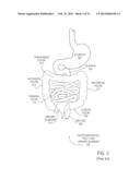 Method for diagnosis and treatment of disorders of the gastrointestinal     tract, and apparatus for use therewith diagram and image
