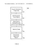 METHOD AND SYSTEM OF CHARACTERIZATION OF CAROTID PLAQUE diagram and image