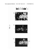 METHOD AND DEVICE FOR MONITORING TEMPERATURE OF TREATMENT SITE BY USING     ULTRASOUND, AND SYSTEM FOR TREATMENT AND DIAGNOSIS USING ULTRASOUND diagram and image