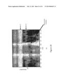 METHOD OF ANALYZING AND PROCESSING SIGNALS diagram and image