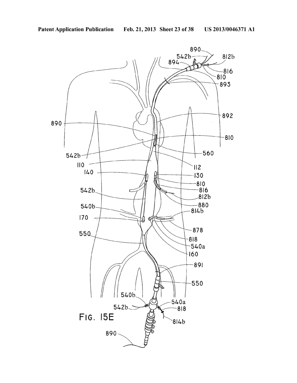 ENDOLUMINAL PROSTHESIS HAVING MULTIPLE BRANCHES OR FENESTRATIONS AND     METHODS OF DEPLOYMENT - diagram, schematic, and image 24