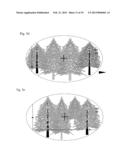 Orientation Device and Method diagram and image