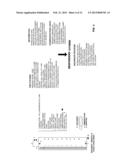 INTEGRATED BUILDING MANAGEMENT SYSTEMS diagram and image