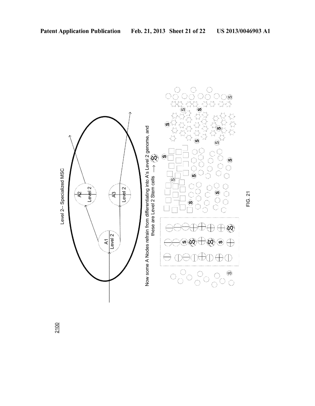 SYSTEM AND METHOD FOR STREAM PROCESSING UTILIZING TOTIPOTENT MORPHOGENIC     STEM CELLS - diagram, schematic, and image 22