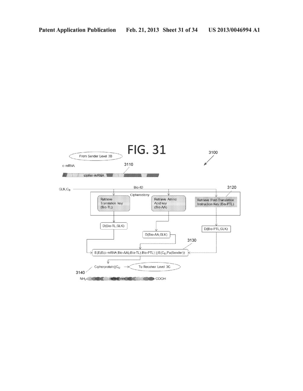 INTEGRATED GENOMIC AND PROTEOMIC SECURITY PROTOCOL - diagram, schematic, and image 32