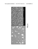 Porous Metal Dendrites as Gas Diffusion Electrodes for High Efficiency     Aqueous Reduction of CO2 to Hydrocarbons diagram and image