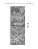 Porous Metal Dendrites as Gas Diffusion Electrodes for High Efficiency     Aqueous Reduction of CO2 to Hydrocarbons diagram and image