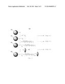 Method of Preparing a Substrate for Immobilization of Functional     Substances Thereon and the Substrate Obtained Therefrom diagram and image