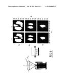 POLARIZATION-ENTANGLED PHOTON PAIR SOURCE AND METHOD FOR THE MANUFACTURE     THEREOF diagram and image