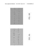 METHOD FOR CLEANING A CONTACT PAD OF A MICROSTRUCTURE AND CORRESPONDING     CANTILEVER CONTACT PROBE AND PROBE TESTING HEAD diagram and image