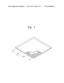 ELECTROPHORETIC DISPLAY DEVICE diagram and image