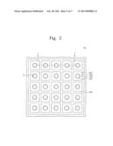 ELECTROPHORETIC DISPLAY DEVICE diagram and image