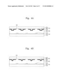 ELECTROPHORETIC DISPLAY DEVICE diagram and image