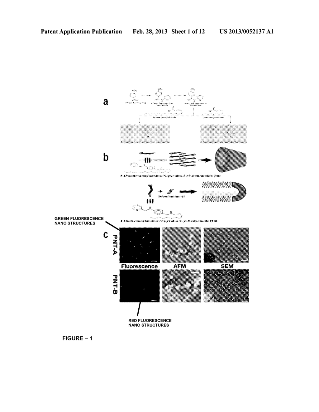 PARA AMINO BENZOIC ACID BASED NANOTUBES - diagram, schematic, and image 02