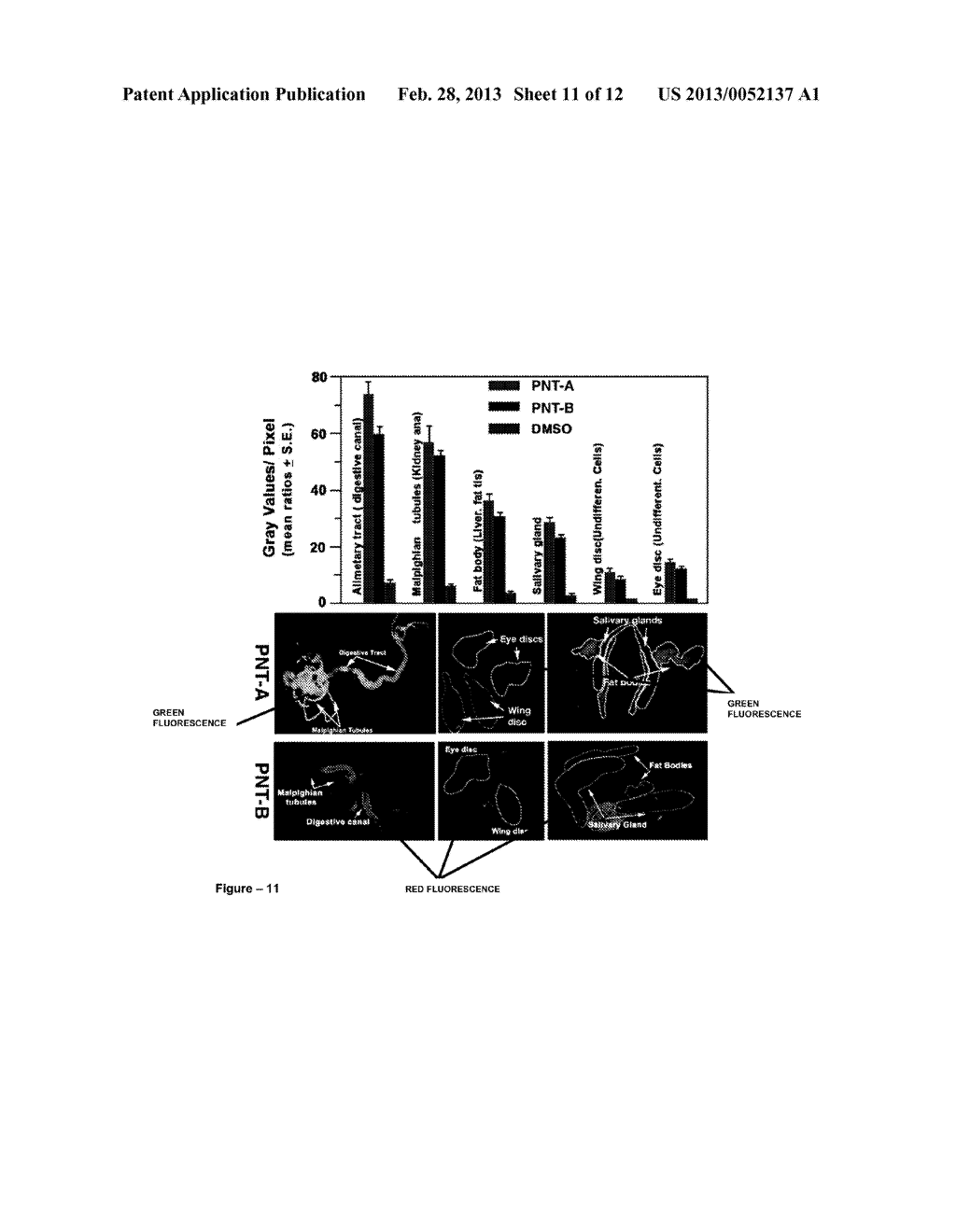 PARA AMINO BENZOIC ACID BASED NANOTUBES - diagram, schematic, and image 12