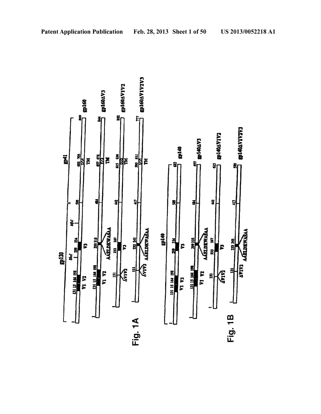 RECOMBINANT MEASLES VIRUSES EXPRESSING EPITOPES OF ANTIGENS OF RNA VIRUSES     - USE FOR THE PREPARATION OF VACCINE COMPOSITIONS - diagram, schematic, and image 02