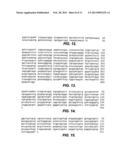 COMPOUNDS AND METHODS FOR DIAGNOSIS AND IMMUNOTHERAPY OF TUBERCULOSIS diagram and image