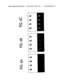 CHARGE-TRANSPORTING FILM, PHOTOELECTRIC CONVERSION DEVICE,     ELECTROPHOTOGRAPHIC PHOTORECEPTOR, PROCESS CARTRIDGE, AND IMAGE FORMING     APPARATUS diagram and image