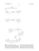 OPTICAL FLUORESCENT IMAGING IN HISTOLOGY diagram and image