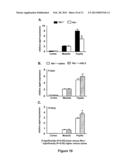 MODULATING AQUAPORINS WITH RELAXIN diagram and image