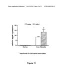 MODULATING AQUAPORINS WITH RELAXIN diagram and image