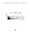 HSA-RELATED COMPOSITIONS AND METHODS OF USE diagram and image