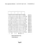 HSA-RELATED COMPOSITIONS AND METHODS OF USE diagram and image