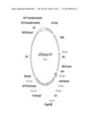 HSA-RELATED COMPOSITIONS AND METHODS OF USE diagram and image