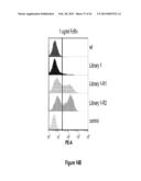 HSA-RELATED COMPOSITIONS AND METHODS OF USE diagram and image